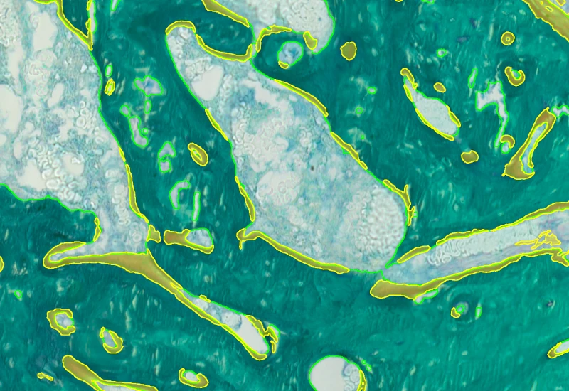 Dynamic Content Image